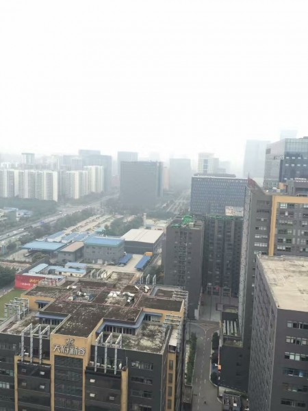 仁和春天装修效果图