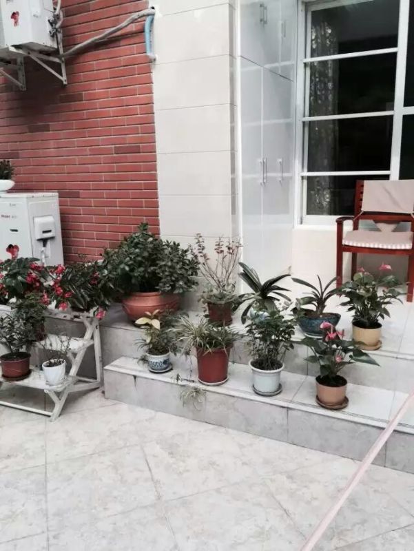 wankemeilizhicheng-5
